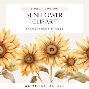 Aquarel zonnebloem clipart bundel, rustieke zonnebloem clipart, zon en bloemen clipart, juli verjaardagscadeaus bloem van de maand, bruiloft uitnodigen