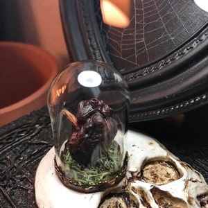 Anti Valentine’s Day Valloween Vampire Heart with Stake Glass Dome Glowing Blood