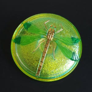 May include: A round, green and gold decorative object featuring a dragonfly design. The dragonfly has gold-colored body and legs, with green wings. The object has a glittery, iridescent finish and is set against a black background.