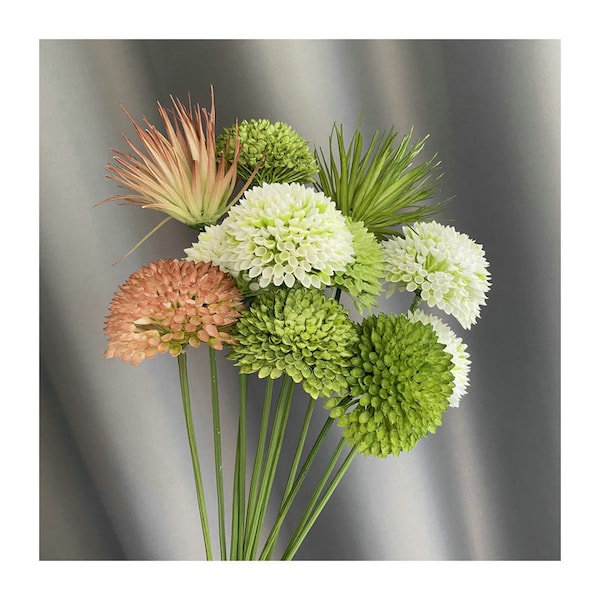 Giant Allium Etsy