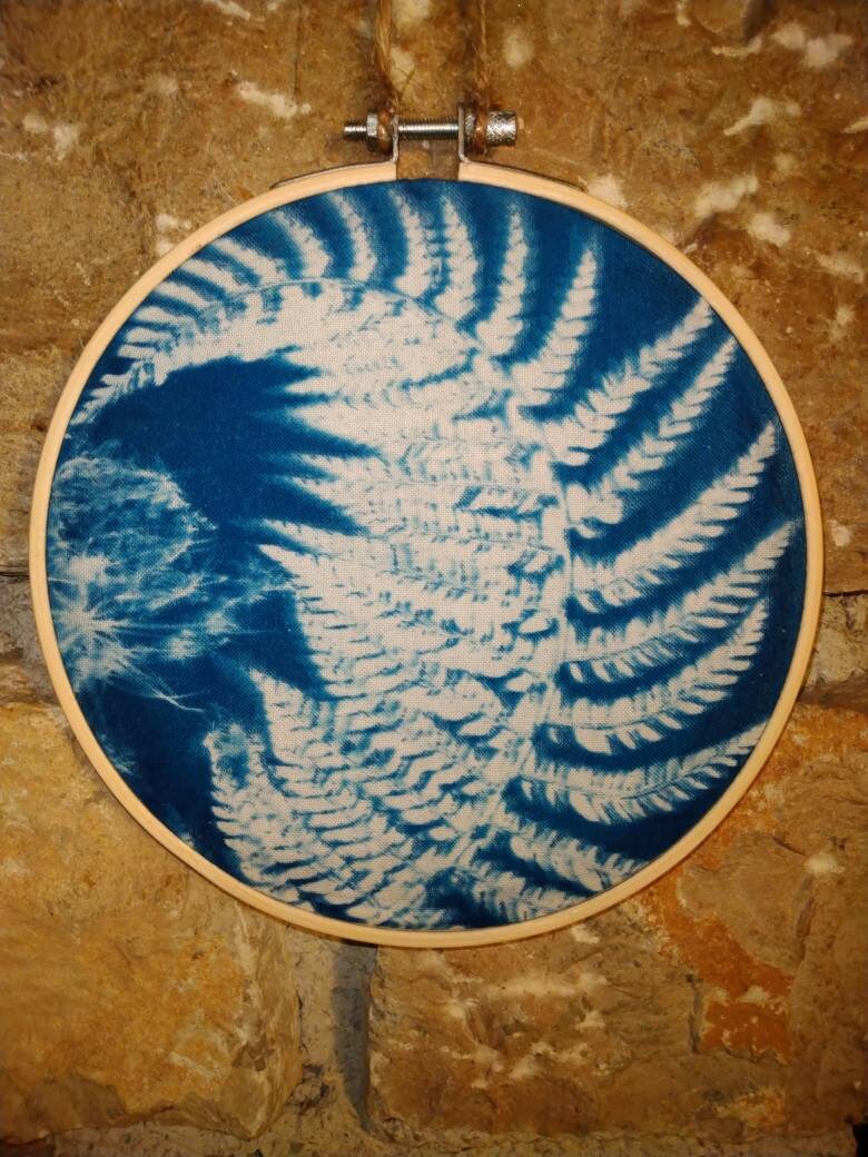 Tambour Déco, Cyanotype Fougère