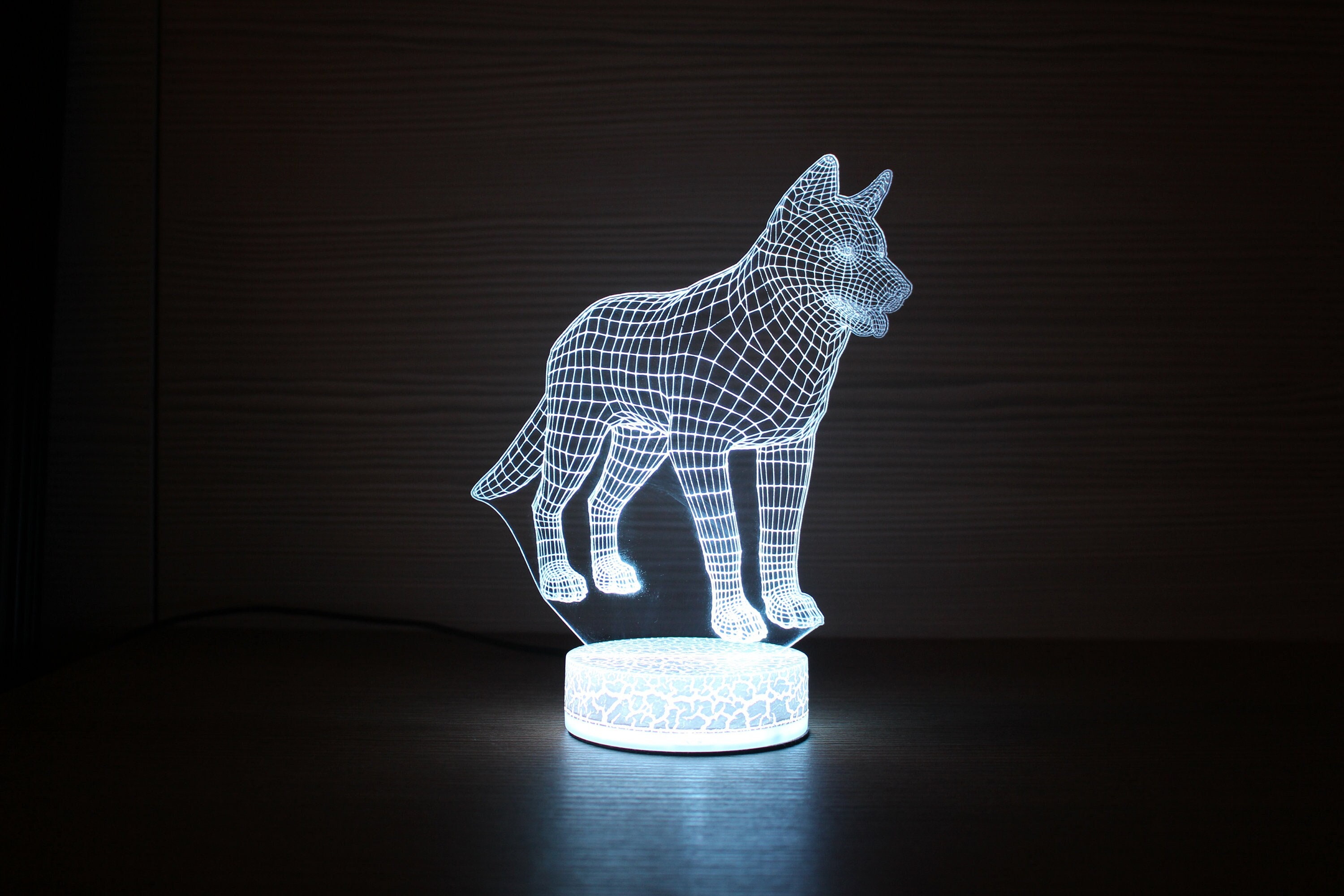 HUSKY IN Aurora Borealis Lamp Northern Lights Lamp Alaska Decor Northern  Lights Gift Resin Lamp Wood Creative Personalized Gifts for Him 