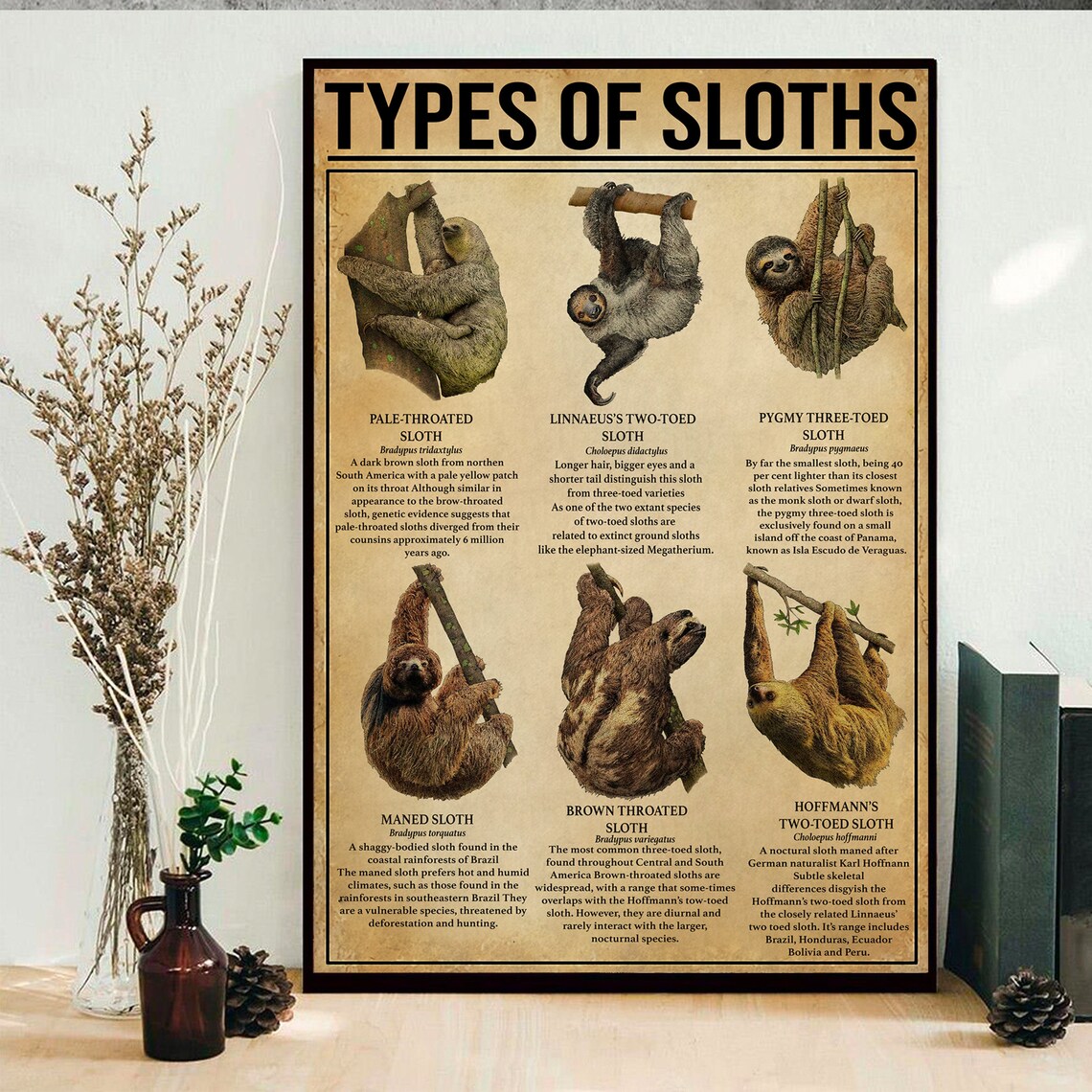 Types of sloths poster sloth knowledge poster Sloth Print | Etsy