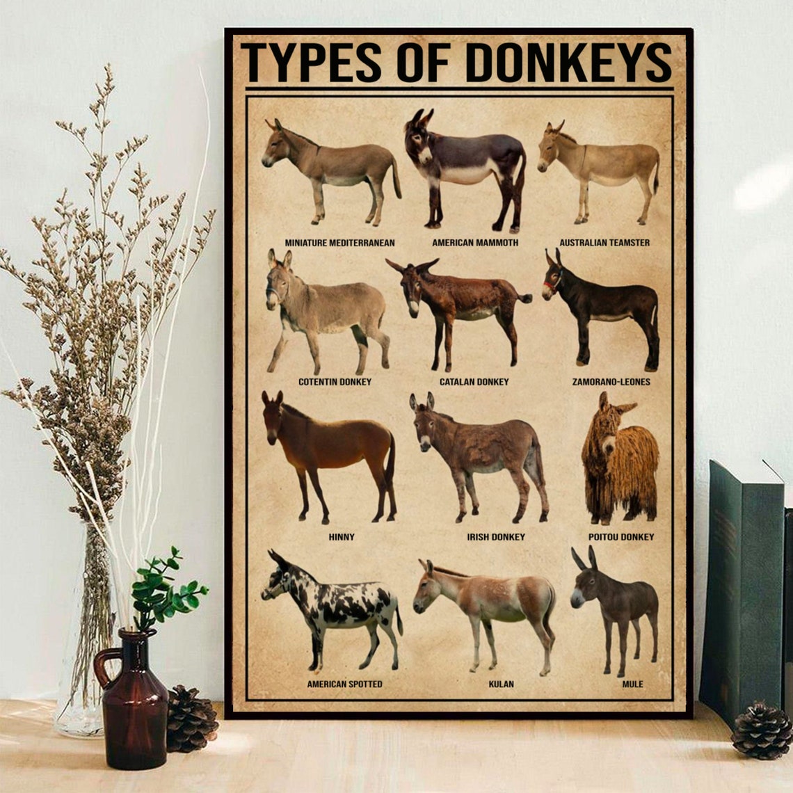 Types of donkeys poster Donkey knowledge poster Donkey Etsy