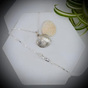 Fine Silver Clam Shell Necklace, Abersoch Beach Pendant