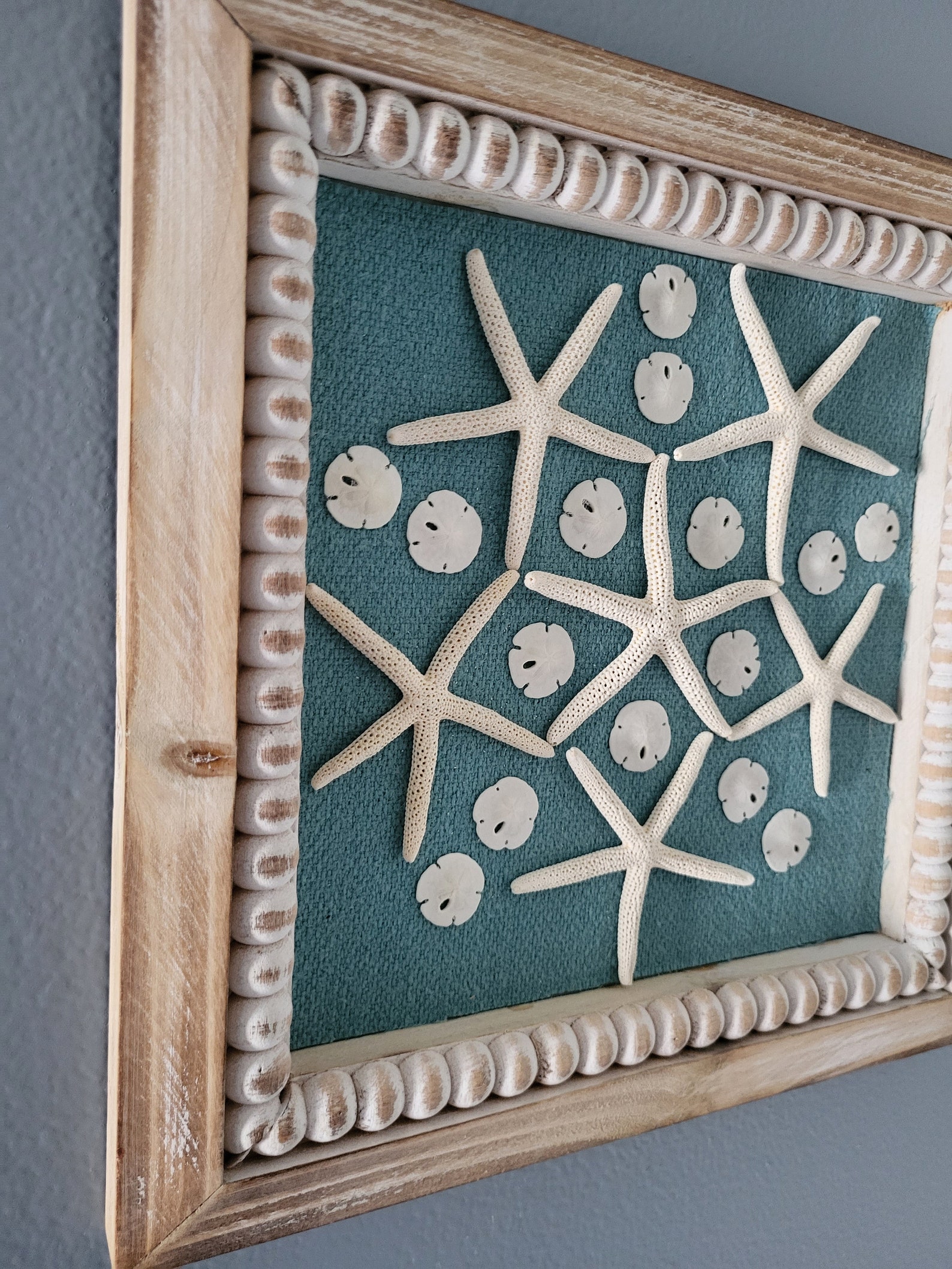 Seashell Wall Art, Starfish Sand Dollar Geometric Design, Coastal Decor ...