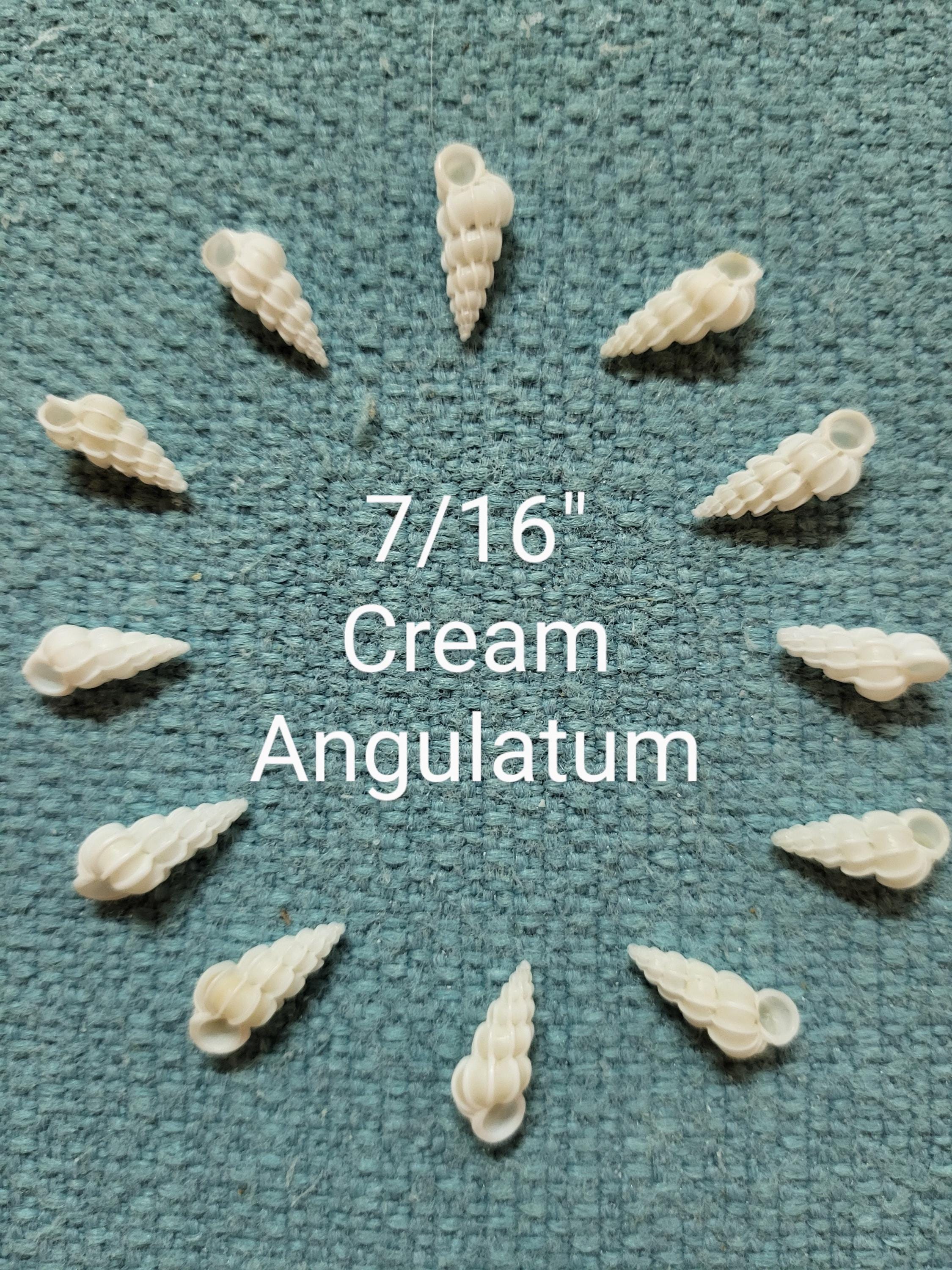 12 Wentletrap Seashells, Scalare Angulatum, Beach Decor Craft Shells - Etsy