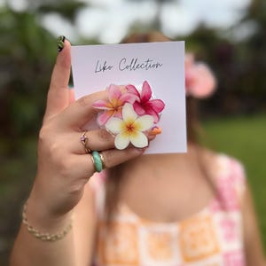 May include: A circular phone grip featuring a cluster of three plumeria flowers in shades of white, yellow, and pink. The accessory is attached to a white display card with the text Liko Collection printed in black script at the top center.