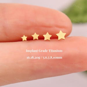 Titanium Star Threadless Push Pin Labret, 2/2.5/3/3.5mm Star Flat Back Stud, Cartilage Tragus Helix Stud, Nose Stud, 16G 18G 20G, Tiny Star