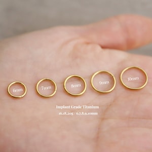 Titanium Hinge Hoop Segment Nose Rings, Cartilage Nose Septum Seamless Hinged Clicker Hoop, 16g 18g 20g, Nose Hoop, Simple Bar Earring Hoop image 1