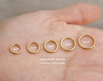 Titanium Hinge Hoop Segment Nose Rings, Cartilage Nose Septum Seamless Hinged Clicker Hoop, 16g 18g 20g, Nose Hoop, Simple Bar Earring Hoop