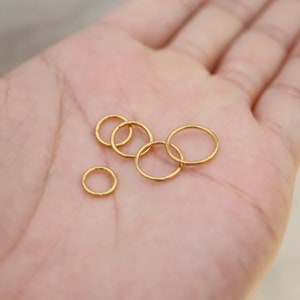 Titanium Hinge Hoop Segment Nose Rings, Cartilage Nose Septum Seamless Hinged Clicker Hoop, 16g 18g 20g, Nose Hoop, Simple Bar Earring Hoop image 2