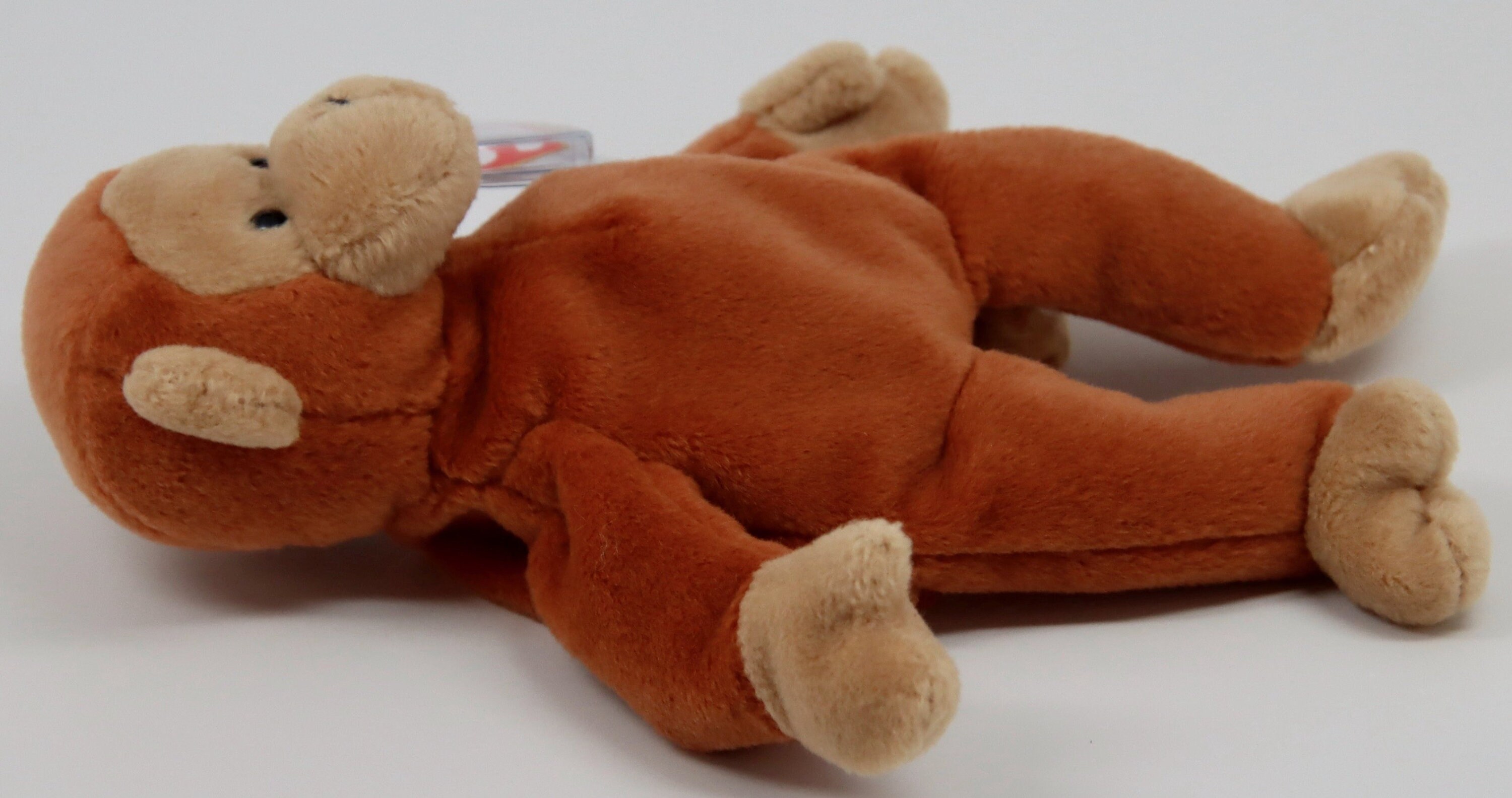 Rare 1995 BONGO Ty Beanie Baby PVC Pellets Tag Errors Mint - Etsy Ireland