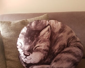 Sleeping Cat Pillow,