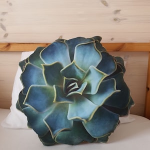 Aloe succulent plant pillow / echeveria plant pillow / succulent pillow / plant shaped pillow / 3d pillow/ plant cushion/ succulent lovers