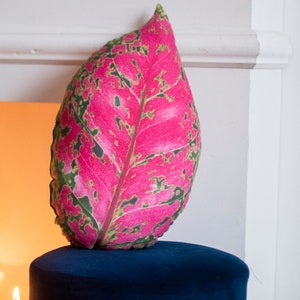 Aglaonema leaf pillow, Aglaonema cushion , Palnt Pillow. Pink leaf zdjęcie 4