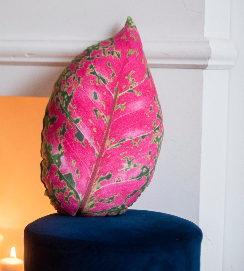 Aglaonema leaf pillow, Aglaonema cushion , Palnt Pillow. Pink leaf zdjęcie 4