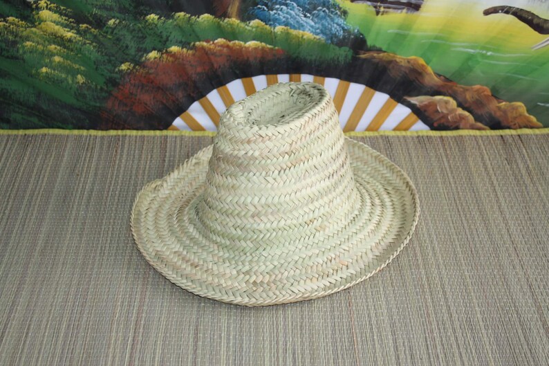 Puede incluir: Un sombrero de paja de ala ancha con un dise&ntilde;o tejido. El sombrero es de color marr&oacute;n claro y tiene una corona ligeramente redondeada.