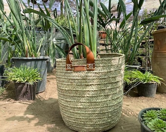 Maceta/cesta para plantas/flores - 4 tamaños disponibles - Cuero, mimbre, ratán, paja
