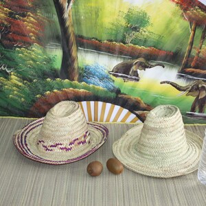 Puede incluir: Dos sombreros de paja, uno con un borde morado y blanco, y dos kiwis en una estera tejida marr&oacute;n delante de un abanico pintado que representa una escena de selva con elefantes y un r&iacute;o.
