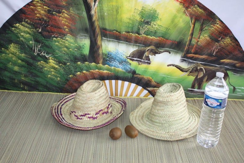 Puede incluir: Dos sombreros de paja, uno con un borde morado y blanco, y dos kiwis en una estera tejida marr&oacute;n delante de un abanico pintado que representa una escena de selva con elefantes y un r&iacute;o.