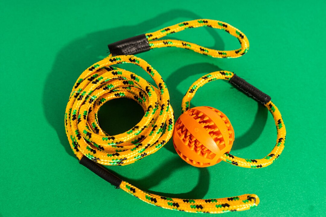 Outdoor Dog Toy 2 in 1 Dog Toy Attach Long Tether to Etsy