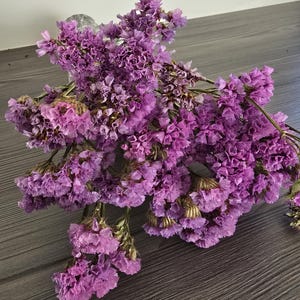May include: A bouquet of dried statice flowers featuring numerous small, ruffled, vibrant purple blossoms clustered on thin, branching green stems. The flowers exhibit a papery texture and are arranged in a dense, multi-layered floral display.