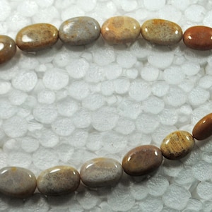 AAA Natural Fossil Coral Gemstone Beads Smooth Oval Shape Size 10x8-18x14 MM 8 Inch Strand Genuine Fossil Coral For Handmade Jewelry Making