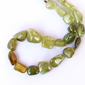 May include: A strand of green and brown gemstone beads, each bead is a smooth, irregular shape.