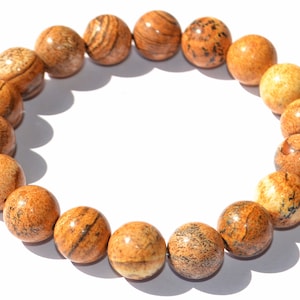 Natural Picture Jasper Bracelet: 10mm Gemstone Beaded Jewelry