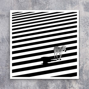 Zebra Crossing Limited Edition Print