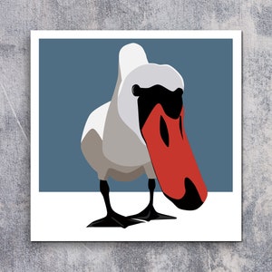 May include: A white swan with a red and black beak, illustrated in a simple, graphic style against a blue background.
