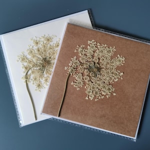 Cartão de flores prensadas. Cartão de felicitações com flores reais. Feito à mão, para todas as ocasiões - cartão de felicitações.
