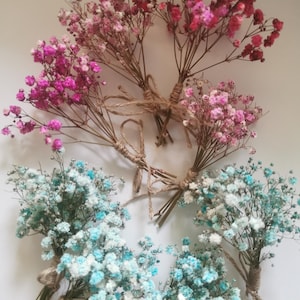 Dried  Gypsophila. Small bouquet of Gypsophila for table decor, Home Decor, Wedding Decor.