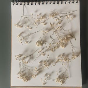 May include: A white spiral-bound notebook with dried, delicate white baby's breath flowers arranged on the pages. The flowers have thin stems and small, clustered blooms. The notebook is on a gray surface.