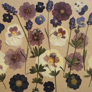 May include: An assortment of pressed flowers in shades of purple, blue, and white, displayed on a light brown background. The arrangement includes pansies, lavender, and other floral varieties, forming a natural and artistic composition.