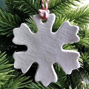 Puede incluir: Adorno blanco en forma de copo de nieve con seis puntas, colgado de una cuerda bicolor roja y blanca. El adorno se muestra sobre un fondo de agujas de pino verdes, evocando un tema festivo navideño.
