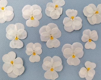 Dried and pressed pansies for craft usage. Real dried viola flowers, supplies for craft, herbarium, wall art.