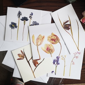 Cartão de flores prensadas. Cartão de felicitações com flores reais. Flores reais da primavera, cartão de felicitações em branco. Feito à mão, para todas as ocasiões - cartão de felicitações.