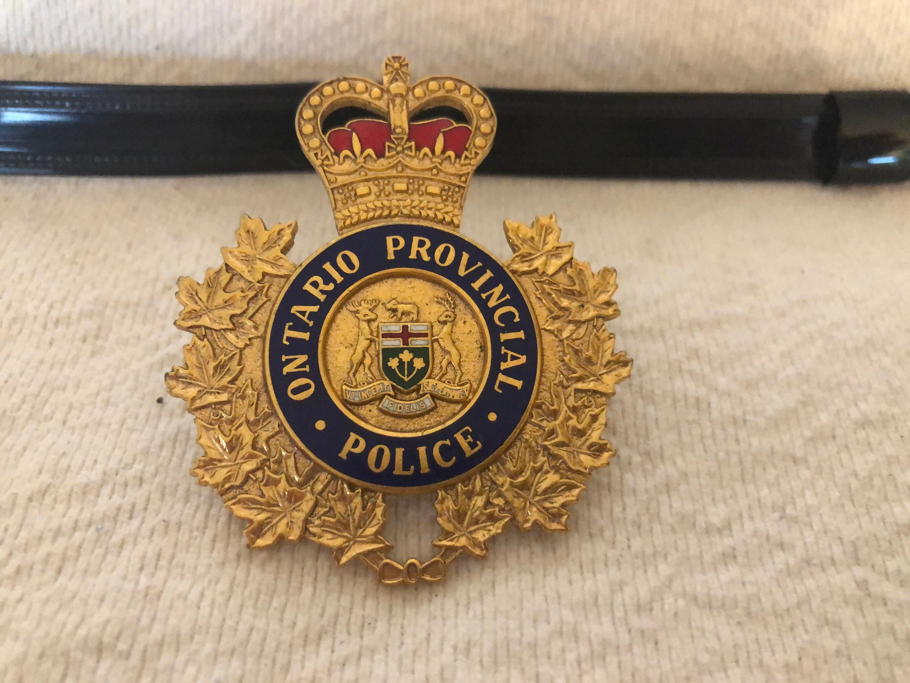 Ontario Northland Railway Police Hat/Lapel Pin ONR 