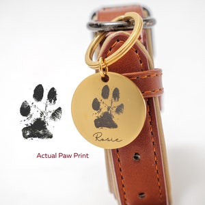 Custom Paw Photo Dog Tag in Gold Silver Rose Gold Personalized Paw Dog Tag Engraving Dog Paw Cat Paw Personalized Dog ID Tag Pet Paw imagem 1