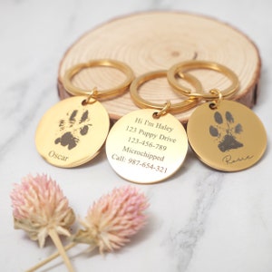May include: Three gold-colored dog tag keychains with engraved paw prints and contact information. The keychains read "Oscar", "Hi I'm Haley 123 Puppy Drive 123-456-789 Microchipped Call: 987-654-321", and "Rosie".