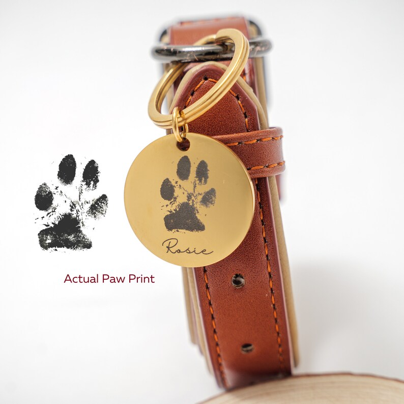 Custom Paw Photo Dog Tag in Gold Silver Rose Gold Personalized Paw Dog Tag Engraving Dog Paw Cat Paw Personalized Dog ID Tag Pet Paw imagem 1