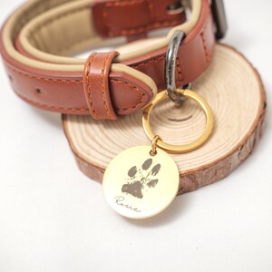 May include: A brown leather dog collar with a gold metal tag attached. The tag has a paw print and the name "Rosie" engraved on it.