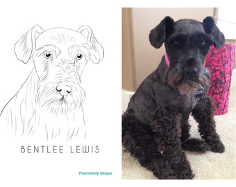 Custom Pet Portrait | Digital line drawing of your own pet