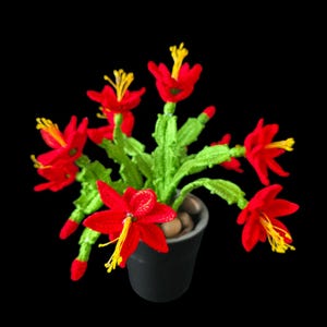 Peut inclure: Une plante crochetée avec des fleurs rouges vives et des étamines jaunes, dans un petit pot noir. La plante présente des feuilles et des tiges vertes, contrastant avec le fond noir. L'artisanat fait main est un objet décoratif.