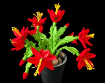 Kaktus boonarodzeniowy - samouczek fotograficzny - wzr szydekowy -  Schlumbergera - Etsy Polska