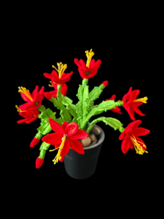 Easy Crochet Christmas Cactus Pattern PDF | Schlumbergera Flower | Potted Cactus Decor | Instant Digital Download