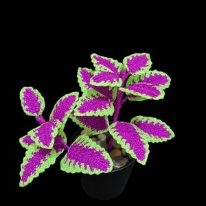 Easy Crochet Coleus Plant Pattern PDF | DIY Crochet Leaf Decor with Free Video Tutorial | Affordable Step-by-Step Guide