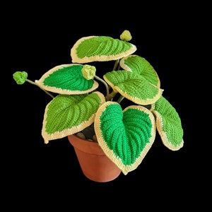 May include: A crocheted plant with green and white leaves in a terracotta pot. The plant is a realistic representation of a houseplant.